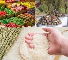 Hơn 1.000 mã nông sản, thực phẩm được phép xuất khẩu vào Trung Quốc