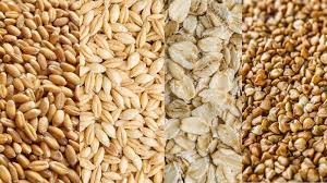 Các nước nhập khẩu lúa mì đang tìm đến thị trường Ấn Độ