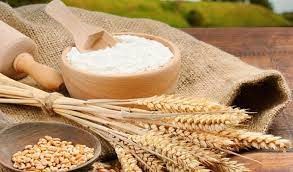 Ai Cập tìm kiếm nguồn nhập khẩu lúa mì thay thế thị trường Nga, Ukraine