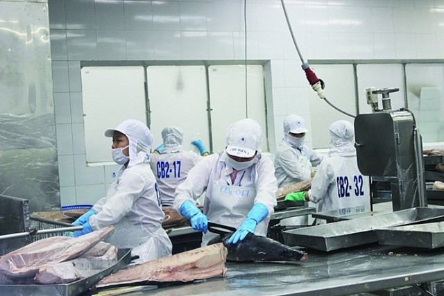 Xuất khẩu cá ngừ gián đoạn do xung đột Nga – Ukraine