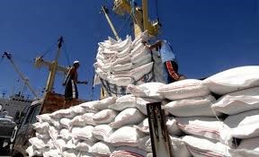 Trị giá xuất khẩu gạo tăng hơn 22%