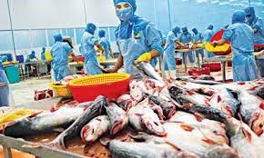 Kim ngạch xuất khẩu thủy sản 2 tháng đầu năm 2022 tăng 50,4%