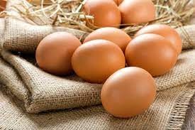 Xuất khẩu trứng của Brazil 8 tháng năm 2022 tăng