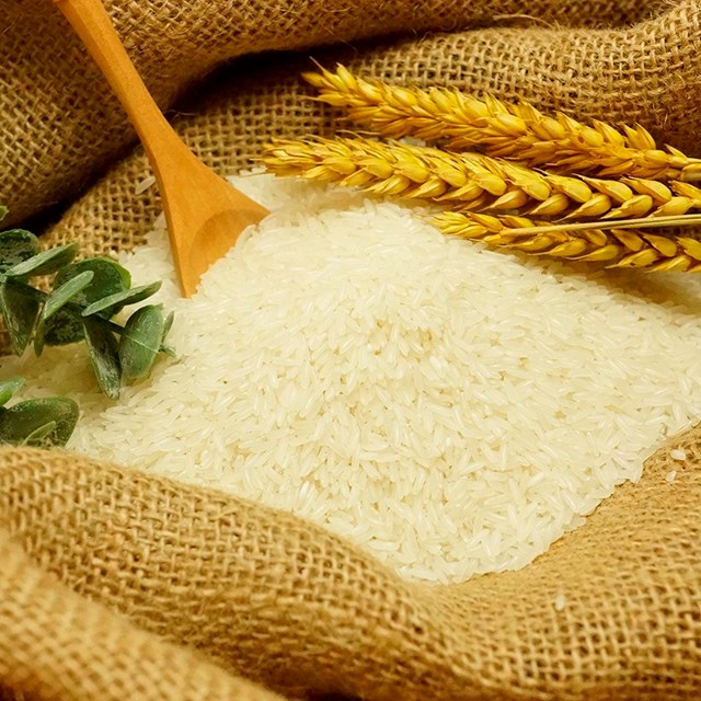 Giá gạo xuất khẩu giảm hơn 8%
