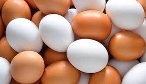 Brazil: Doanh thu xuất khẩu trứng trong tháng 9/2022 tăng 12,3% 