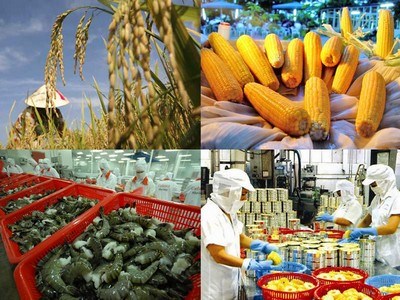 Xuất siêu ngành nông nghiệp tăng mạnh 47,8%