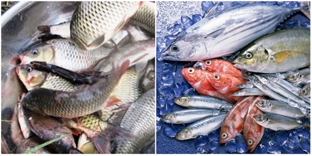 Công ty Nhật Bản muốn xuất khẩu các mặt hàng thủy sản sang Việt Nam