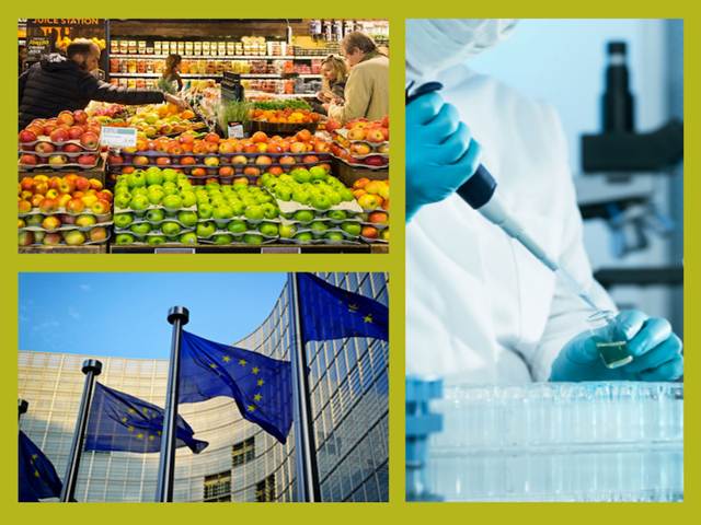 Quy định của EU về dư lượng arsen, isoxaben, novaluron trên nông sản, thực phẩm