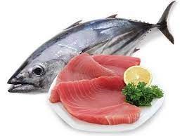 Xuất khẩu cá ngừ đông lạnh sang Nhật Bản tăng gấp 3 lần