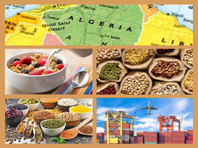 Algeria gọi thầu quốc tế để nhập khẩu ngũ cốc và đậu các loại