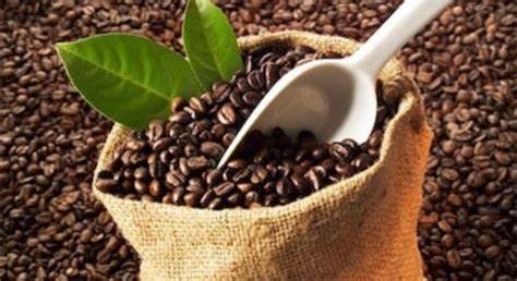 Giá nông sản ngày 9/5/2023: Cà phê ổn định, hồ tiêu tăng 1.000 đồng/kg