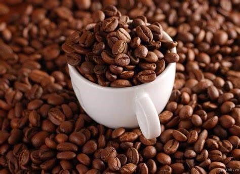 Giá cà phê hôm nay 16/5: Tăng 1.000 đồng/kg, cao nhất 56.300 đồng/kg