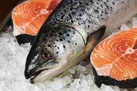 Giá cá hồi Na Uy giảm trên 7% 