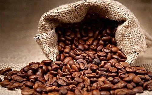 Xuất khẩu cà phê 5 tháng đầu năm 2023 giảm lượng, tăng kim ngạch