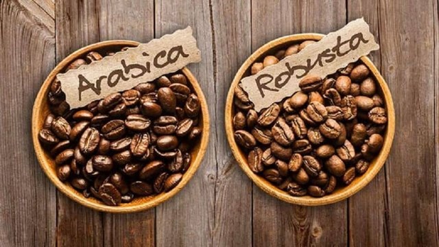 Giá cà phê hôm nay 7/7: Arabica tăng gần 1%