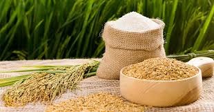 Tăng tốc xuất khẩu gạo