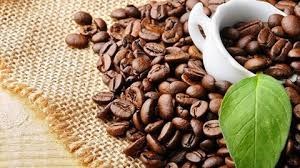 Giá cà phê hôm nay 14/7: Tiếp đà giảm trên diện rộng