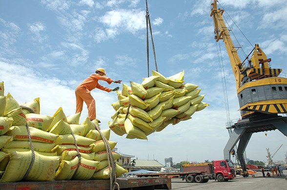 Xuất khẩu gạo sang các thị trường  7 tháng năm 2023 