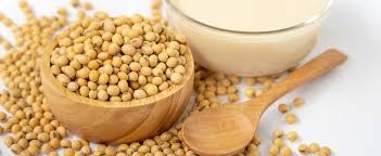 USDA: Dự báo sản lượng ngô và đậu tương thế giới niên vụ 2023/2024 