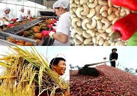 Tình hình xuất nhập khẩu nông lâm thuỷ sản 9 tháng năm 2023