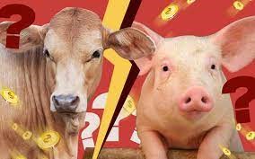 Giá lợn hơi tại Mỹ tăng, giá bò giảm