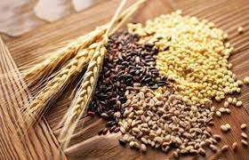 Nhập khẩu lúa mì 5 tháng đầu năm 2024 tăng khối lượng nhưng giá giảm