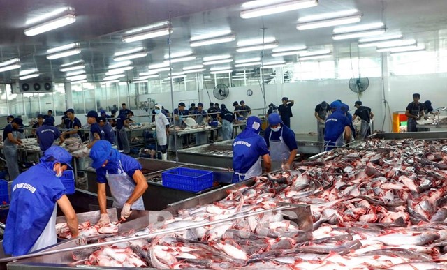 FTA - trợ lực thúc đẩy xuất khẩu cá tra