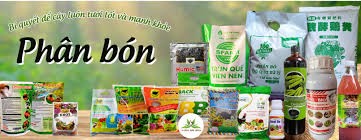 Giá phân bón ngày 15/8/2024 đồng loạt đứng yên tại tất cả các khu vực