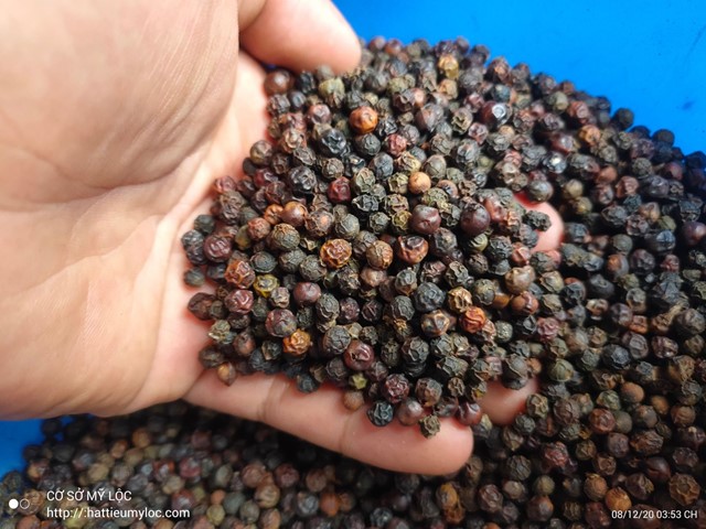 Giá xuất khẩu một loại hạt của Việt Nam tăng 1.300%, chợ bán 1,6 triệu đồng/kg