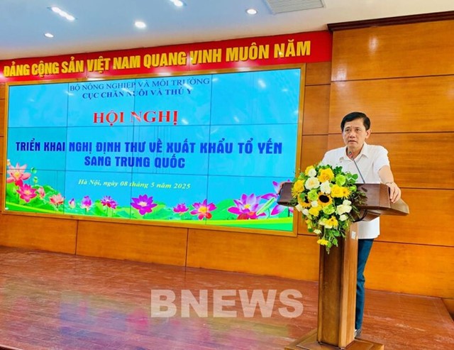 Xuất khẩu yến thô thêm cơ hội từ thị trường Trung Quốc