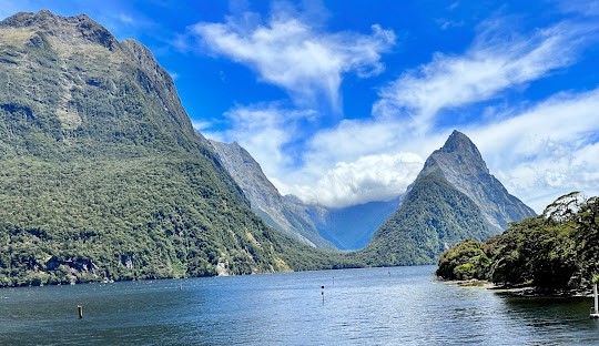 Kim ngạch xuất nhập khẩu Việt Nam - NewZealand năm 2024 giảm 2,9%