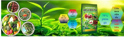 Nhập khẩu phân bón 4 tháng đầu năm 2025 tăng cả về lượng và kim ngạch