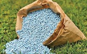 Thị trường xuất khẩu phân bón 4 tháng đầu năm 2025 