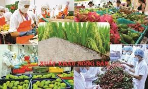 Xuất khẩu nông, lâm, thủy sản 5 tháng đầu năm đạt trên 28 tỷ USD, tăng hơn 15%