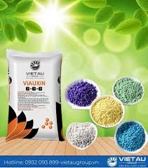 Nhập khẩu phân bón 5 tháng đầu năm 2025 tiếp tục tăng 
