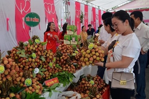 18/7/2025: Kết nối giao thương Lễ hội trái cây và rau củ Việt Nam tại Singapore 2025