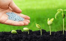 Thị trường phân bón: Giá bán trong nước bám sát đà tăng cao của thế giới
