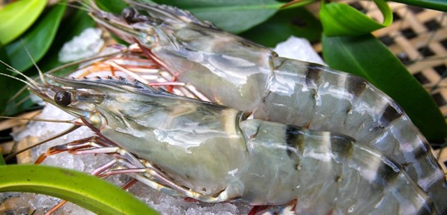 Xuất khẩu thủy sản tiếp tục tăng trưởng