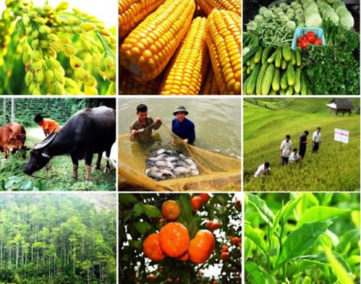 Ngành nông nghiệp quyết tâm cán đích xuất khẩu 65 tỷ USD trong năm 2025