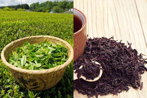 Bản tin thị trường và số liệu nhập khẩu chè Pakistan tháng 5/2025