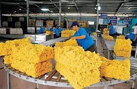 Cao su xuất khẩu gần 70% sang thị trường Trung Quốc