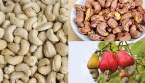 Giá hạt điều xuất khẩu bật tăng gần 24%