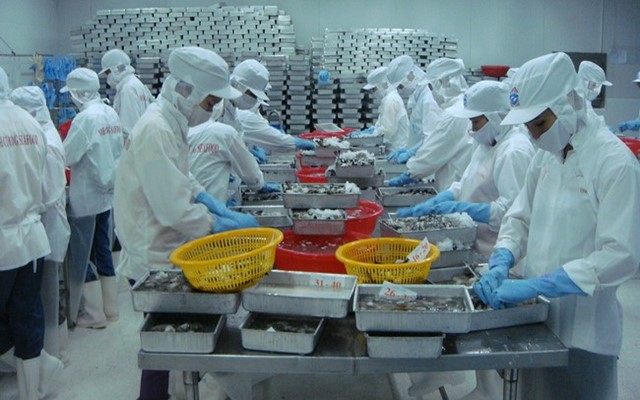 Xuất khẩu thủy sản 6 tháng đầu năm 2025 tăng gần 16%