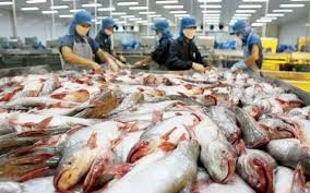 Nghịch lý ngành cá tra: 'Vua' xuất khẩu nhưng 'lép vế' trên sân nhà