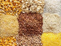 FAO: Dự báo sản lượng ngũ cốc toàn cầu năm 2025 đạt mức cao kỷ lục 2.961 triệu tấn 