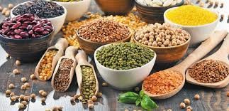 FAO: Dự báo sản lượng ngũ cốc toàn cầu năm 2025 đạt 2.971 triệu tấn 