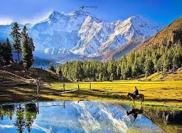 Nhập khẩu hàng hóa từ Pakistan 9 tháng năm 2025 sụt giảm mạnh