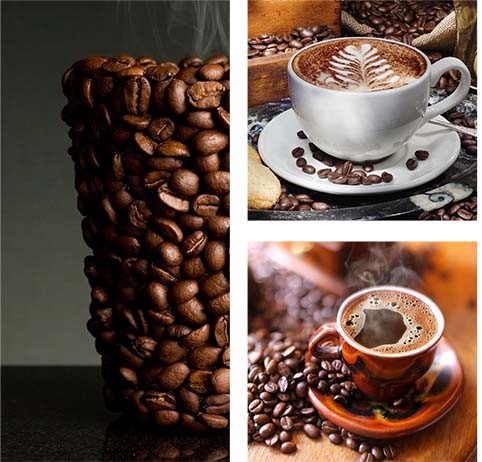 Kim ngạch xuất khẩu cà phê của Việt Nam sang EU tăng 74,3% trong 9 tháng năm 2025 nhờ EVFTA