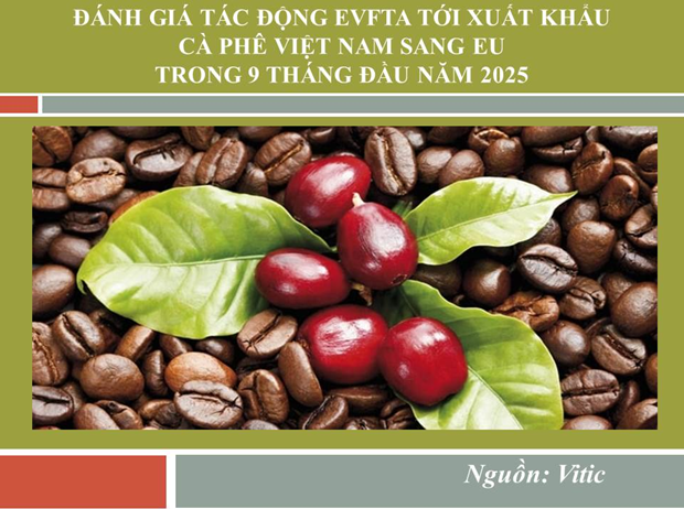 INFOGRAPHIC: Đánh giá tác động của EVFTA tới xuất khẩu cà phê Việt Nam sang EU  trong 9 tháng năm 2025