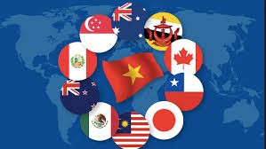 Thương mại giữa Việt Nam và khối CPTPP trong 10 tháng năm 2025 tăng 20,6%